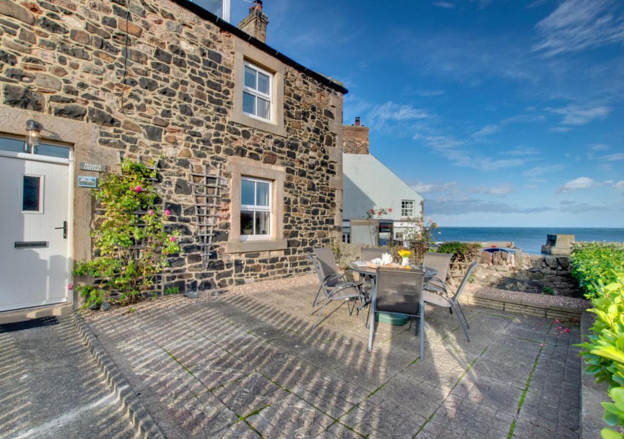 Pegasus Cottage Craster Esterno foto